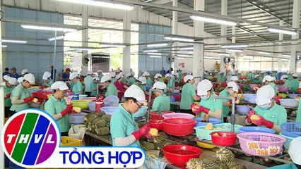 THVL | Chuyên đề kinh tế: Thu hút FDI phát triển kinh tế địa phương