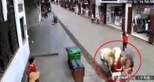 Yolda Yürürken 3 Kişiye Saldıran Başıboş At, Polis Tarafından Öldürüldü! Dehşet Anları Kamerada