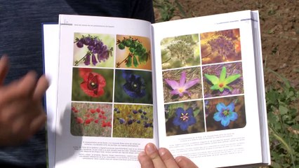 Comienza el programa Operación Polinizador con motivo del Día Mundial de la Biodiversidad