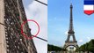 Pria nekat memanjat Menara Eiffel - TomoNews