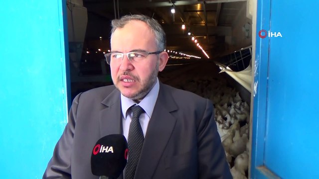 Türk tavukçular ihracatta Avrupa ülkeleriyle yarışıyor