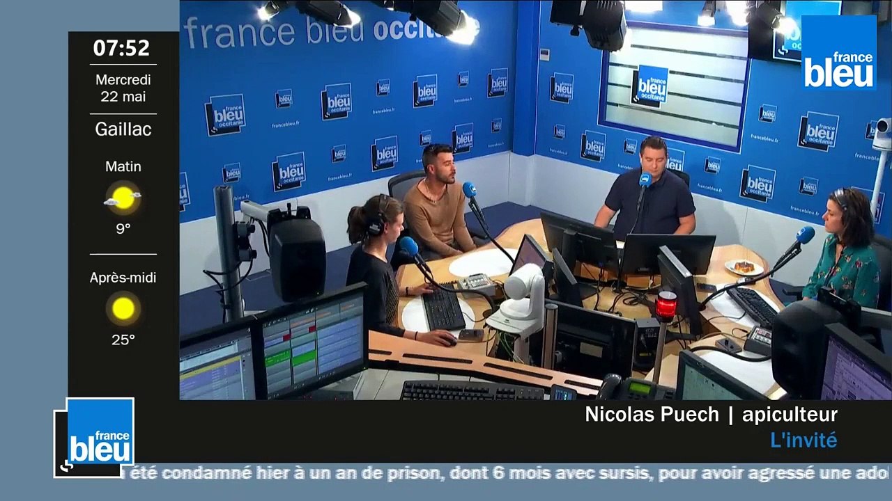 "J'ai perdu 2 millions d'abeilles l'an dernier" - Nicolas Puech, apiculteur bio en Comminges