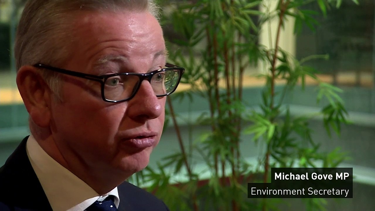 Gove: Neither remain nor no-deal Brexit captures public mood