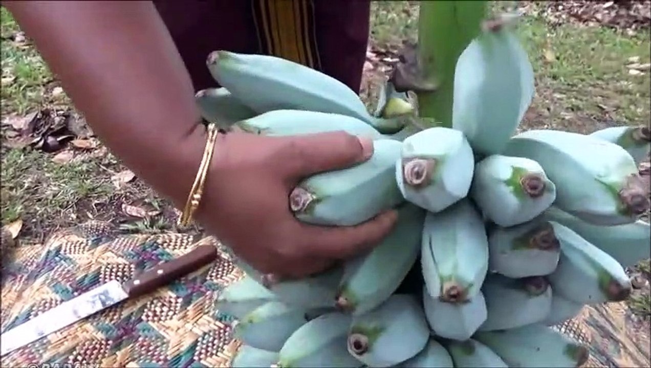 Des cendres de la banane Plantain (Bananes à cuire) faire Frire Recette préparée dans mon Village | la Vie du Village
