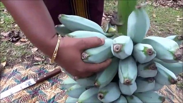 Des cendres de la banane Plantain (Bananes à cuire) faire Frire Recette préparée dans mon Village | la Vie du Village
