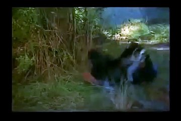 바카라불패신화 https://www.css900.com⌠〃카지노사이트〃⌡