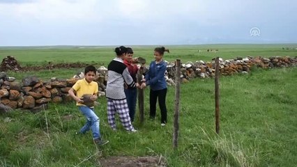 Kaz Yavruları Merayla Buluştu - Kars