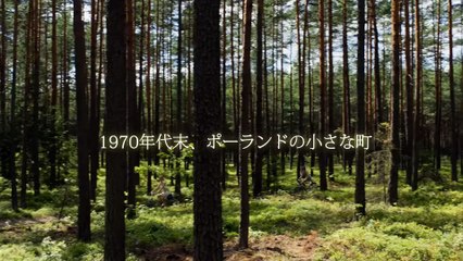 映画『メモリーズ・オブ・サマー』