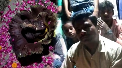 पेड़ में से निकले भगवान गणेश! अब दर्शन के लिए दूर-दूर से चले आ रहे लोग