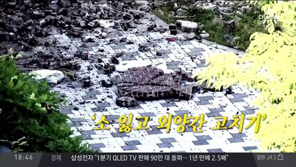 설마했다…터지고 무너지고