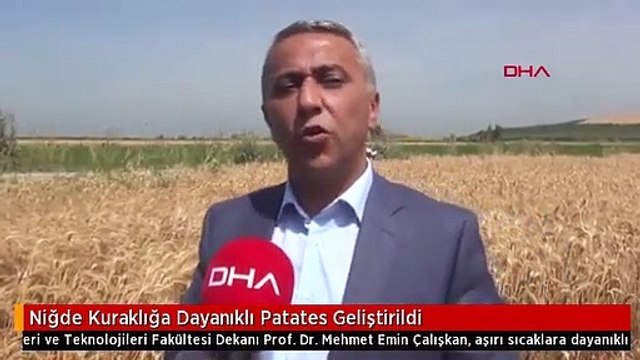 Niğde Kuraklığa Dayanıklı Patates Geliştirildi