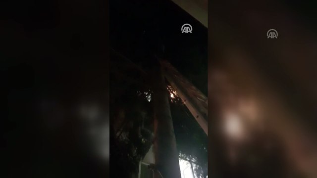 Ağaçta mahsur kalan kediyi itfaiye kurtardı - YALOVA