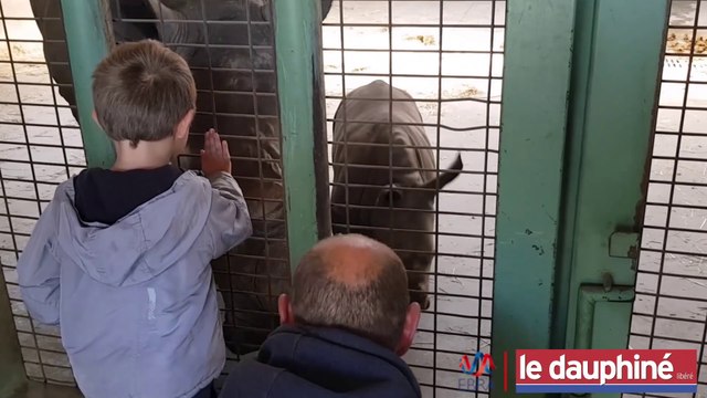 PEAUGRES Basile (5 ans) a rencontré Basile le rhinocéros blanc