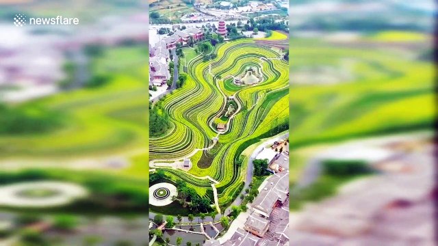 Incredible view of vibrantly coloured terraced fields in Chinese town