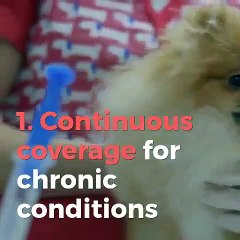 Randon Morris |  What does a good Pet Insurance Policy Look Like