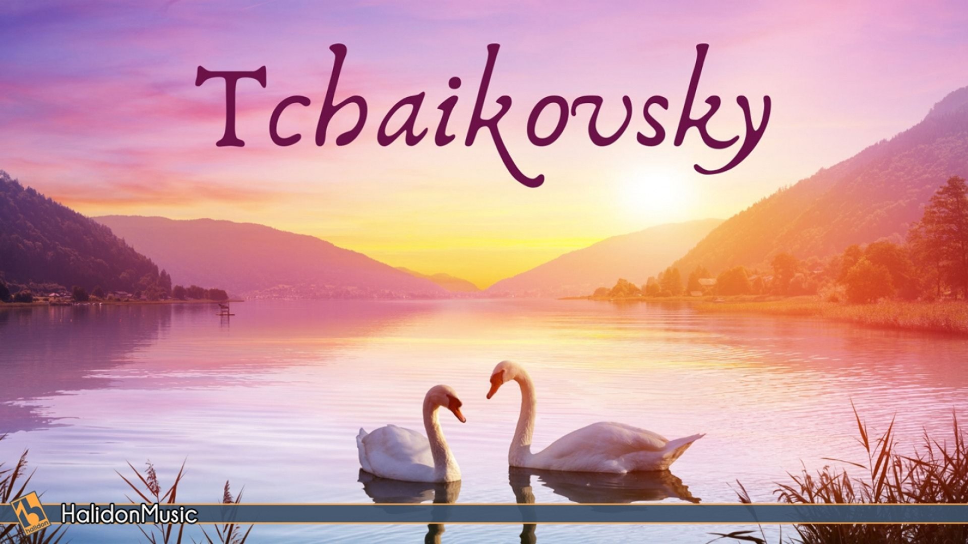 Various Artists - The Best of Tchaikovsky