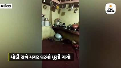 રવાલ ગામમાં રસોડામાં 4.5 ફૂટનો મગર ઘૂસી ગયો, રેસ્ક્યૂ કરીને આજવા સરોવરમાં છોડી દેવાયો