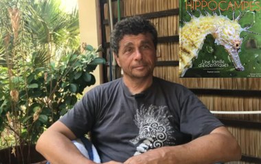 Interview 1 de Patrick Louisy : Les parents hippocampes, couple modèle ?