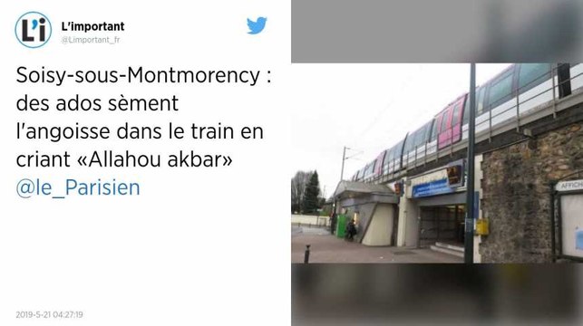 Val-d’Oise. Des ados crient « Allahou akbar » dans un train et sèment la panique