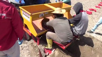 Niğde Kuraklığa Dayanıklı Patates Geliştirildi-Yeniden