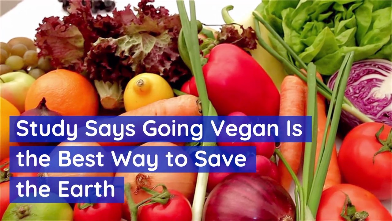 Can Vegans Save The World