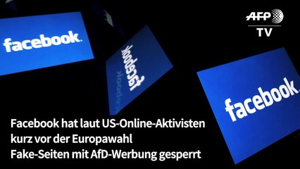 Facebook sperrt Fake-Seiten mit AfD-Werbung vor Europawahl