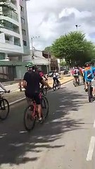 Tải video: Un homme et ses 3 adorables chiens participent à une course cycliste