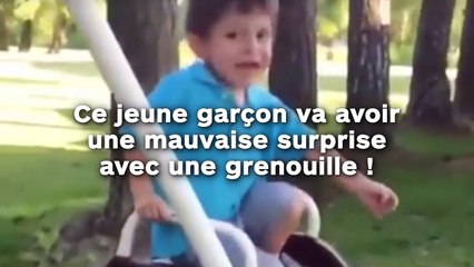Cet enfant va avoir la peur de sa vie à cause d'une grenouille !