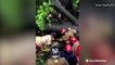 Firefighters rescue man trapped under fallen tree