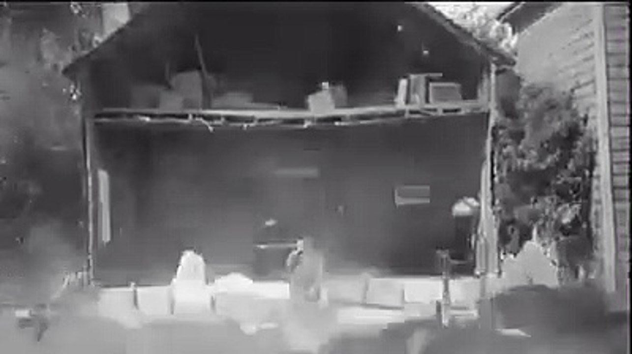 Effets spéciaux au cinéma en 1920 : compilation