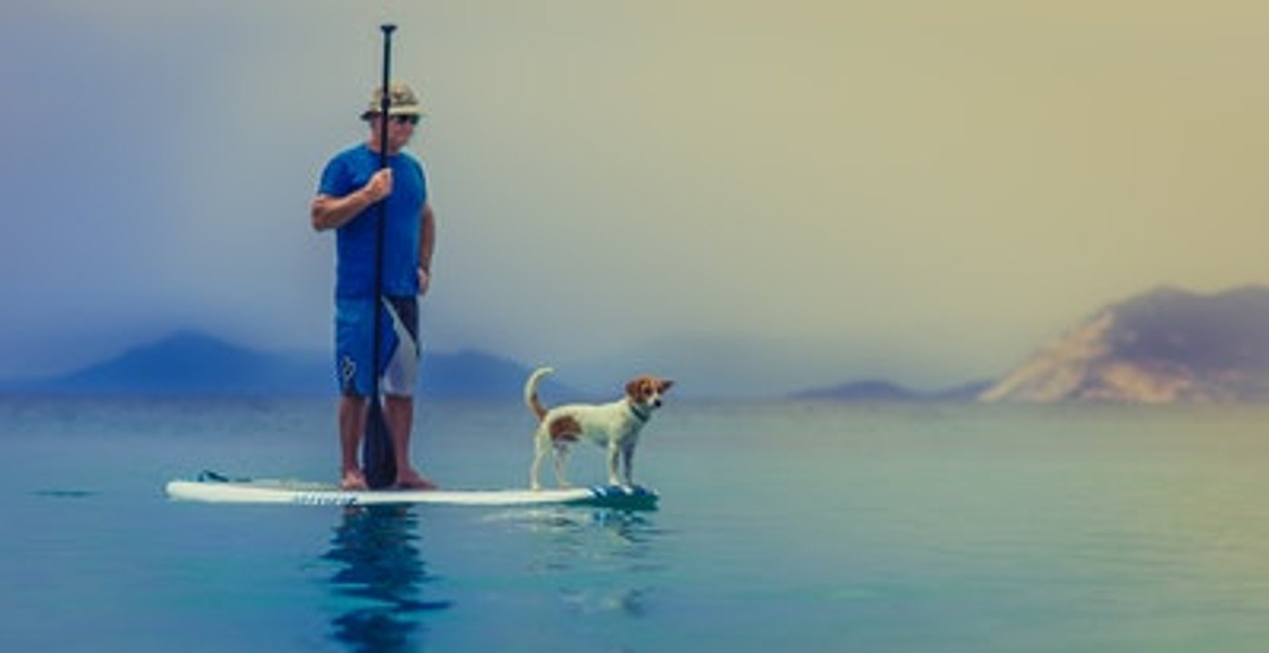 Welche Sportarten kann man mit seinem Hund ausüben?
