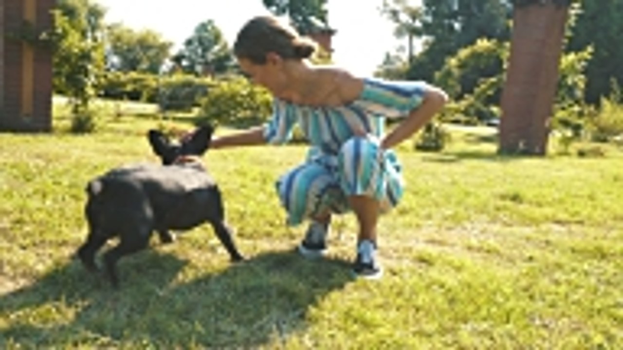 Die Grundlagen einer positiven Hundeausbildung