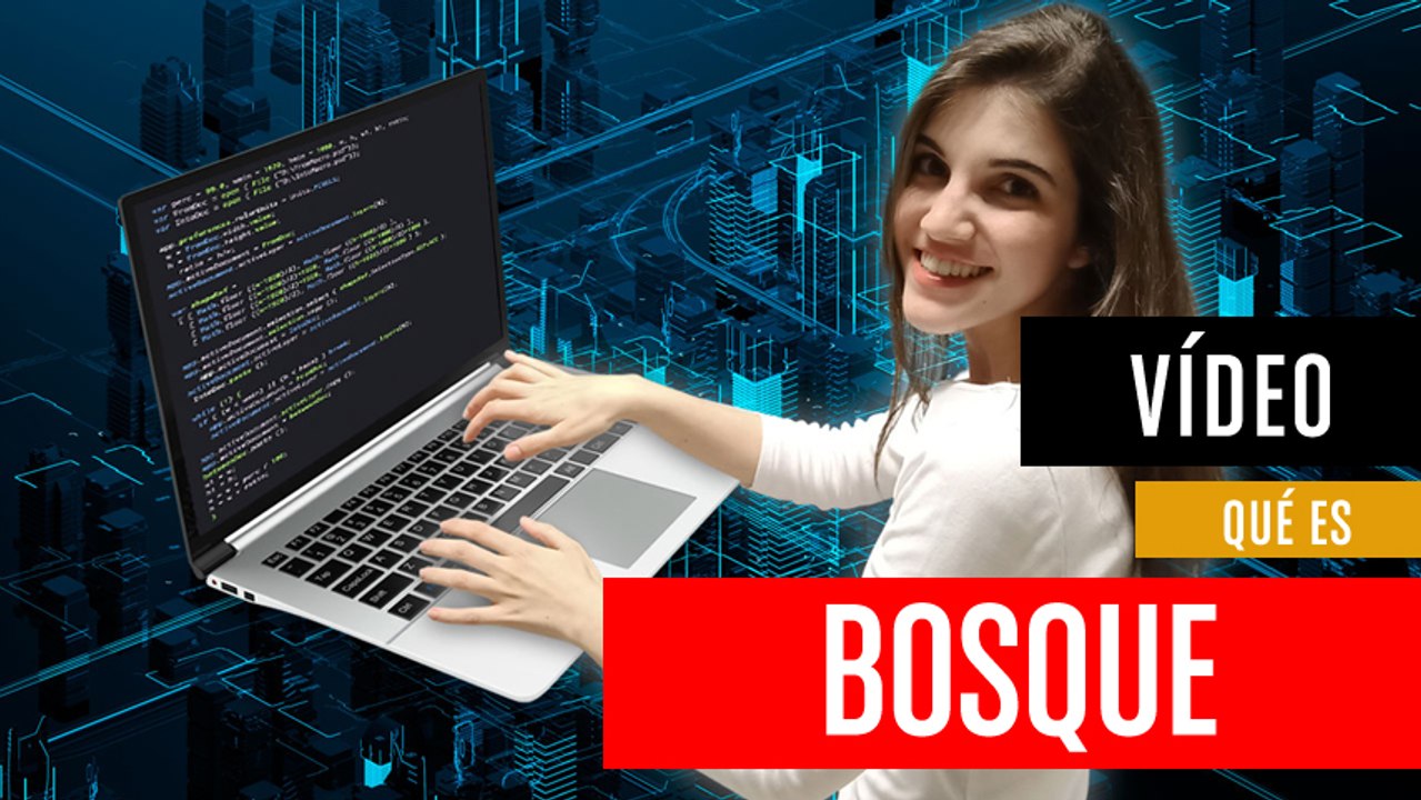 ¿Qué es Bosque?