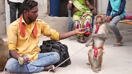 Funny Monkey Dance Video.Comedy Drama in India.Bandar ka khel.कॉमेडी बन्दर का खेल,मदारी.Madari