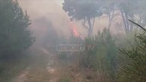 N/stacioni i Fushë Krujës në flakë, zjarr i fuqishëm në pyllin me pisha në Darezezë të Fierit