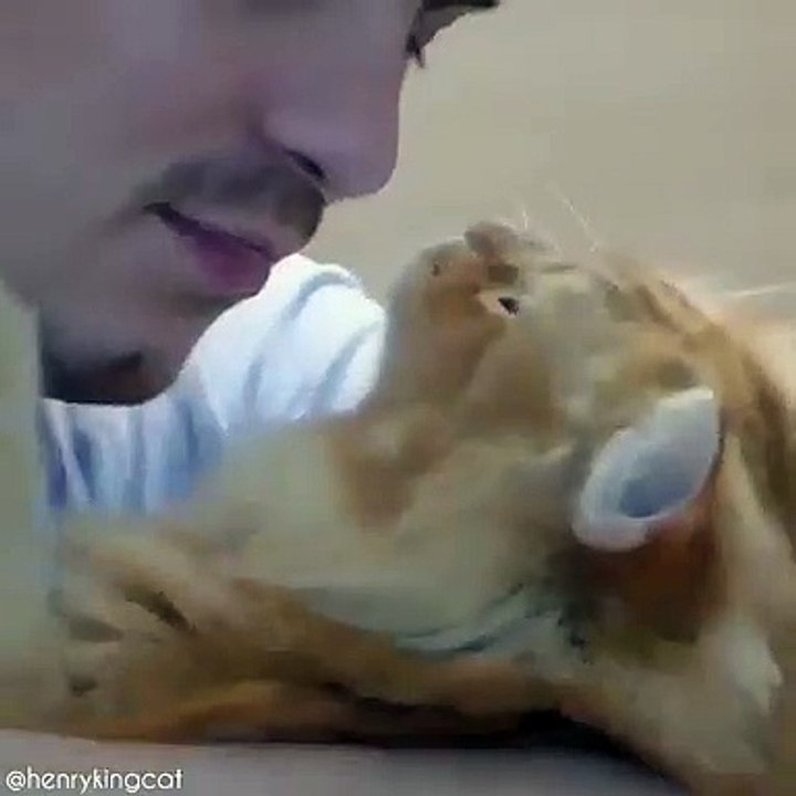 Cet homme et son chat sont très mignon. Admirez !