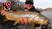 Hook Shots: Lowdown Lehigh River Browns
