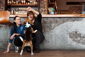 This Course Teaches Dogs How to Behave in Breweries