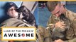 Soldier Reunited With Syrian Puppy Adopted After Deployment