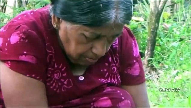 Village des Aliments - Cuisson des Cendres de la banane Plantain dans mon Village par ma Maman