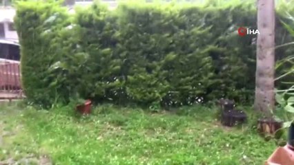 Ordu'da Ceviz Büyüklüğünde Dolu Yağdı
