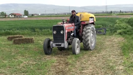 Tarlada tartıştığı 2 kardeşi tüfekle öldürdü - AFYONKARAHİSAR