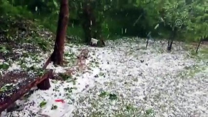 Ordu'da ceviz büyüklüğünde dolu yağdı - ORDU