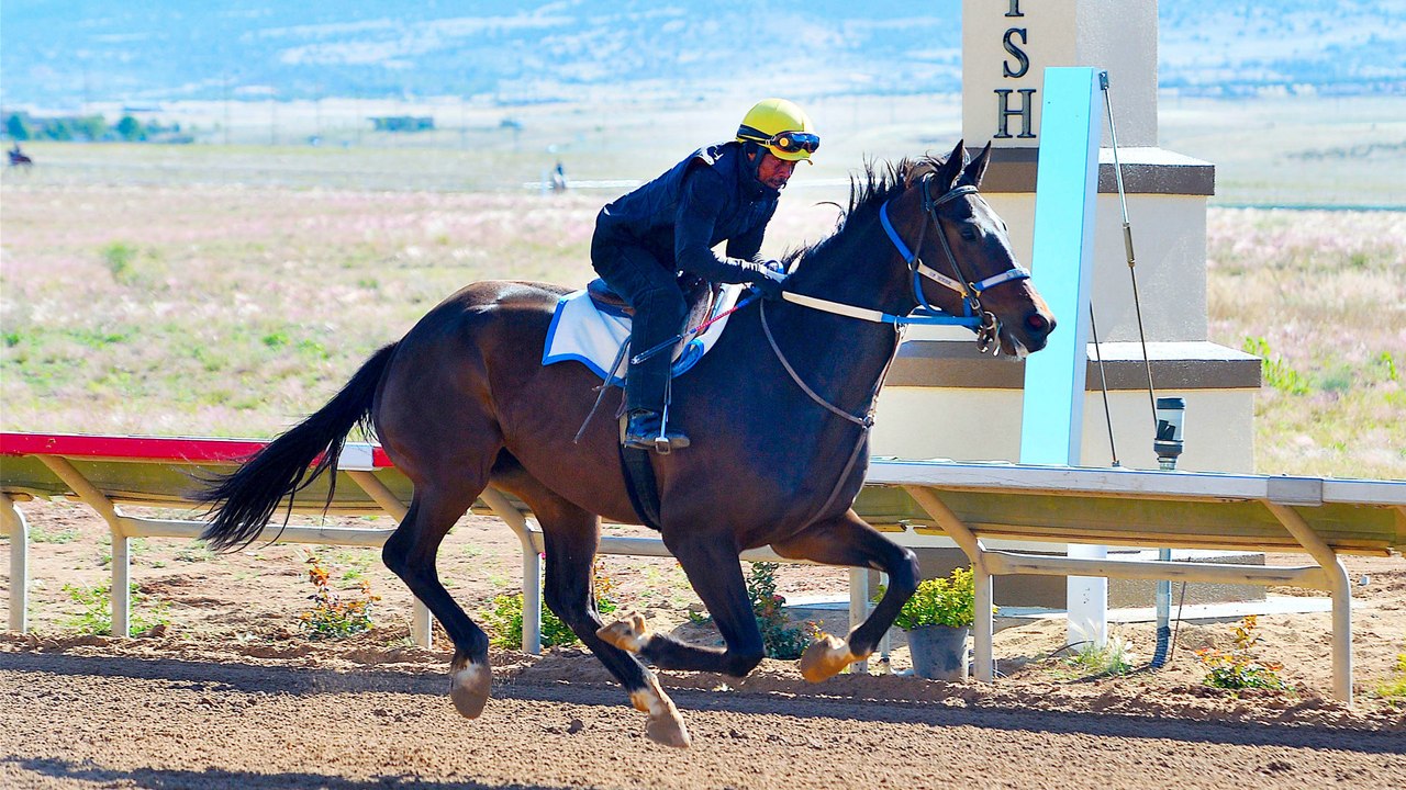 Off to the Races at Arizona Downs