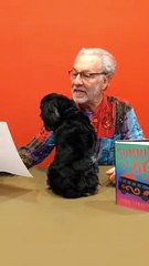 Cooper and Todd read a review of Summer of '69