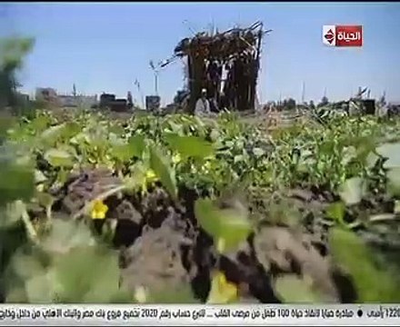 شاهد.. لحظة تسليم جورج قرداحى جائزة اسم من مصر لفائزة من الشرقية