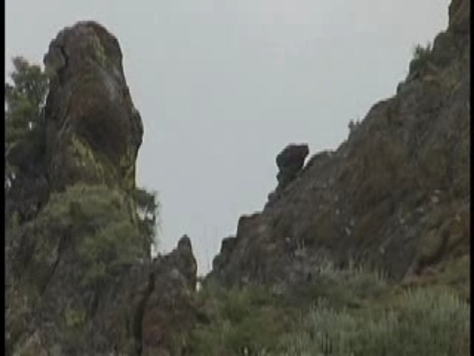 Sniper  vs Taliban(animaux?)