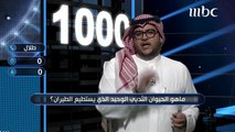 ماذا يسمي العالم الذى يدرس الصخور