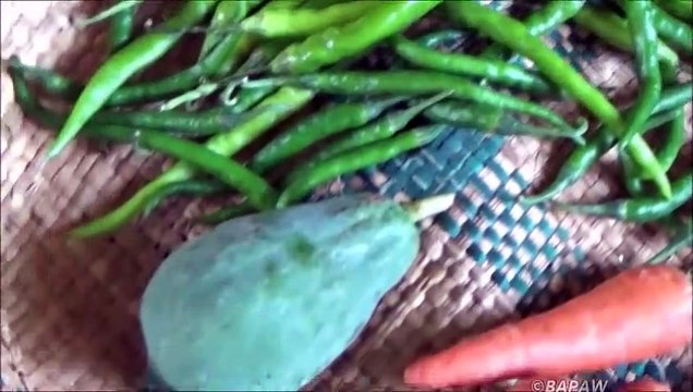 Village Aliments Village Traditionnel de Style Cornichons préparés par ma Maman