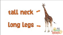 GIRAFFE Animals for children. Kids videos. Kindergarten - Preschool learning